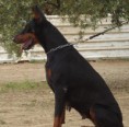 /album/fotogaleria/ivon-de-boramorena-jpg/